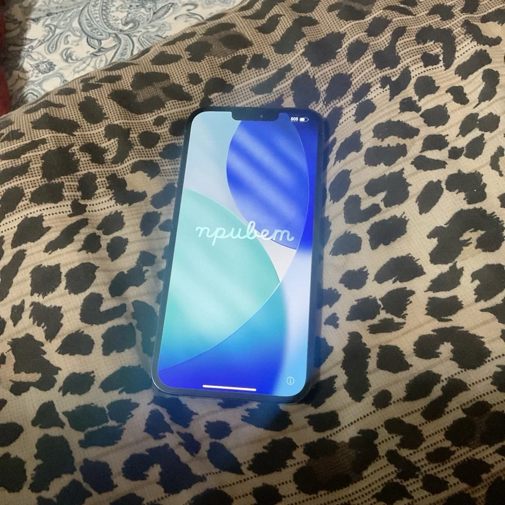 iPhone 13 Pro Max in Excellent condition